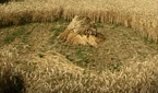 Paranormalna Polska: Kręgi w zbożu pod Garwolinem