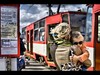 Wyniki III Mi�dzynarodowego Konkursu Fotograficznego ALBUM DLA GDA�SKA 2010  