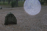 Leśne duchy