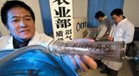 Iran i Chiny naukow� pot�g�?!