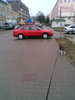 Poszczu� psem!