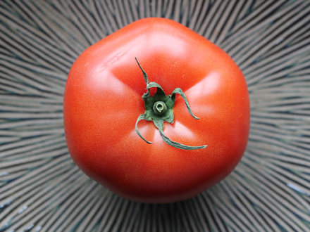 Ostatni taki pomidor – o �ywno�ci GMO