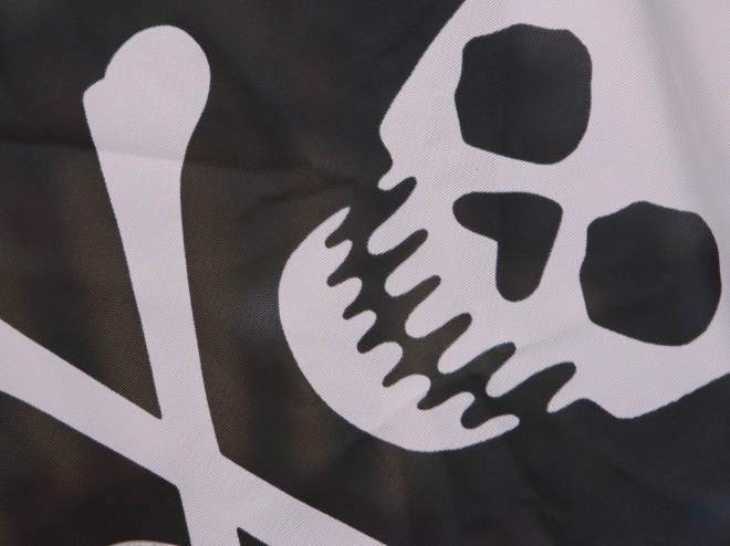 [Obrazek: pirat-flaga-czaszka-kosci-660.jpeg]