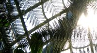 �mia�ek zamkni�ty w komorze bez dost�pu tlenu