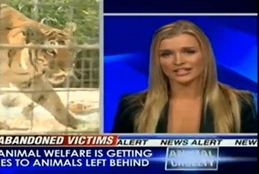 Krupa pot�pia ZOO w CNN!