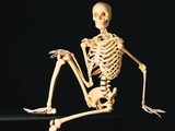 Prawie 3 mln Polak�w choruje na osteoporoz�