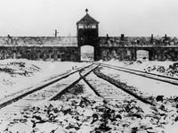 Bunt �yd�w w Auschwitz.  Rzucili si� na oberkapo i �ywcem wrzucili go do pieca