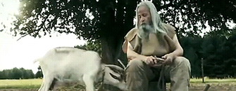 Co koza Wanda wie o polskiej prezydencji?