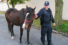 Takiego zadania policjanci jeszcze nie mieli!
