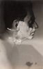 Man Ray i Lee Miller: oboje byli artystami i by� czas, kiedy jawili si� sobie jako bardzo wa�ni. Mo�e nawet najwa�niejsi. W takim czasie powstaje zwykle du�o dowod�w tej wa�no�ci: m�wione s� s�owa, pisane s� listy i tworzone s� portrety. ONA utrwala w pami�ci JEGO twarz i to samo czyni na kliszy. ON stara si� zapami�ta� j� ca�� i wtedy powstaj� JEJ pi�kne obrazy.
Man Ray Shaving, c.1929; 
Gelatin silver print; 4 ¾ x 3 1/8 in. (12.3 x 7.7 cm); 
Lee Miller Archives, Sussex, England; 
© Lee Miller Archives, England 2011. All rights reserved. www.leemiller.co.uk
Courtesy of The Peabody Essex Museum (PEM) 

Dzie�o prezentowane podczas wystawy: Man Ray | Lee Miller, Partners in Surrealism

