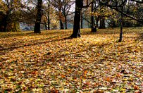 Czego si� spodziewa� w weekend? Sprawd� prognoz� 