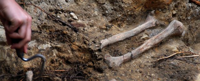 Znamy sekwencję genów najstarszego Homo