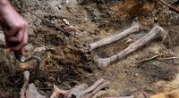 Archeolodzy odkryli w Peru szcz�tki dzieci ...