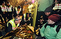 Protestuj�cych z tor�w usuni�to razem z szyn�