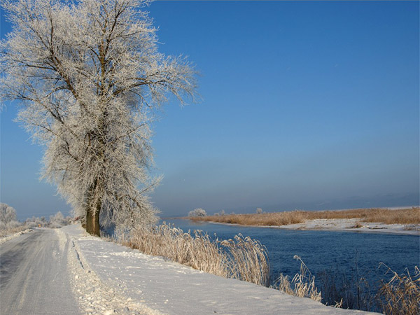 �wi�ta po wodzie czy po lodzie? Sprawd� prognoz�