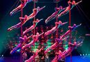 Saltimbanco Cirque du Soleil