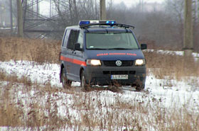 �cina� drzewo w lesie, gdy nagle... Ups!