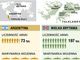 Infografika