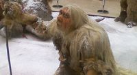 Wiemy, dlaczego wygin�li Neandertalczycy ...