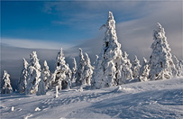 Prognoza pogody