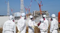 Fukushima - rok po awarii