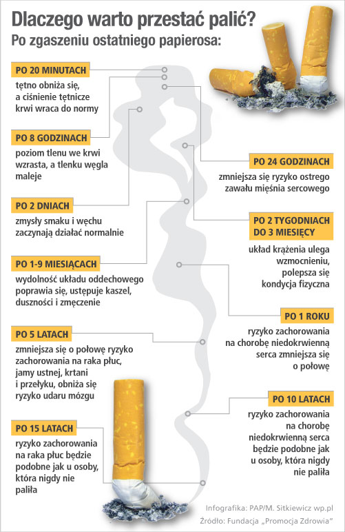 papierosy_palenie_infografika2.jpeg