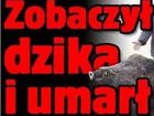 Najdziwniejsze nag��wki artyku��w