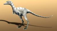 Odnaleziono jaja nieznanego gatunku dinozaura