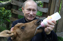 W�adimir Putin -  polityk, kt�ry potrafi wszystko