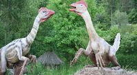 Owiraptor - prehistoryczny rabu� jaj