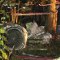 Aby przetrwa�, zacz�li zjada� cia�a zmar�ych. Najbardziej mroczne katastrofy lotnicze