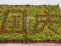 Liu Bolin. Jedyny na �wiecie cz�owiek, kt�ry potrafi znikn��!