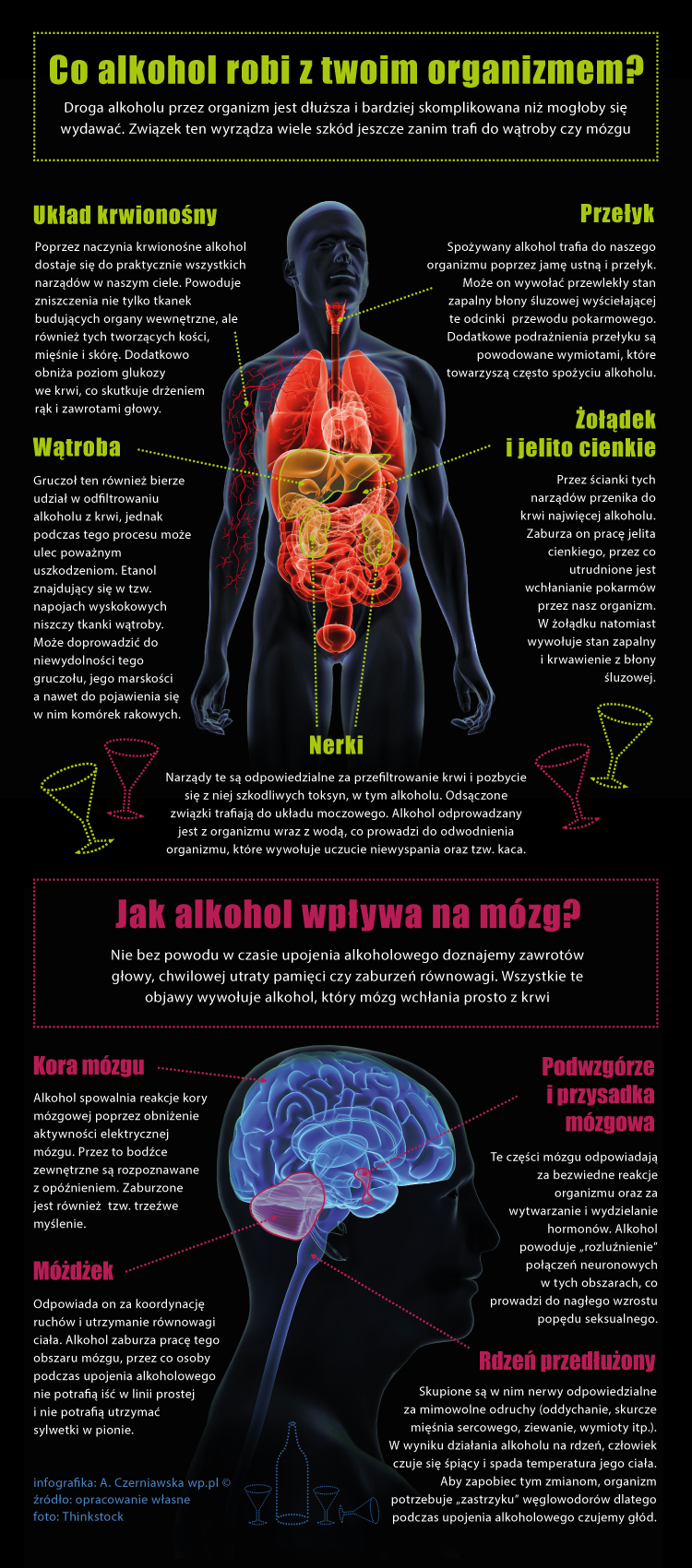 Jak Alkohol Wpływa Na Twój Organizm Infografika Wppl 6488