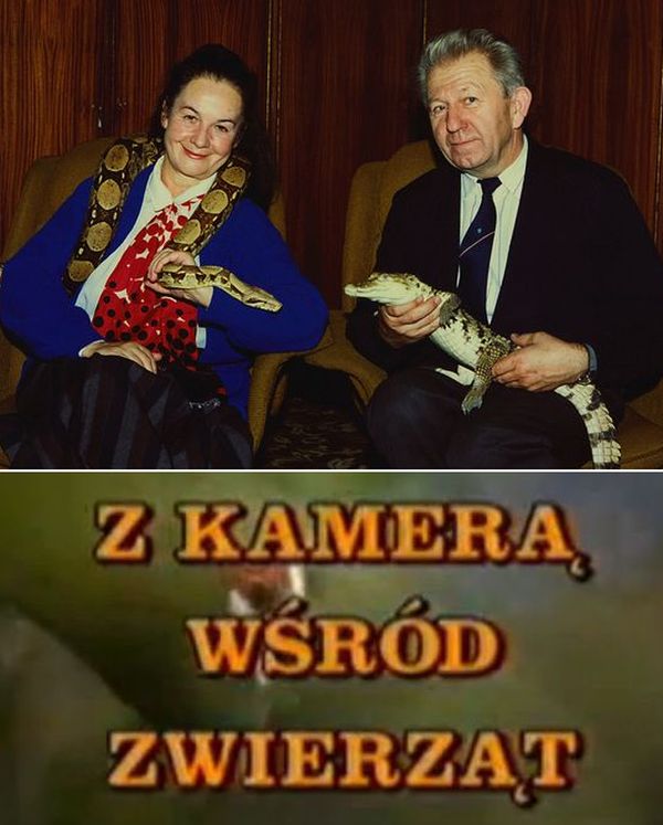 Program Telewizyjny O Ptakach żyjących W Polsce "Z kamerą wśród zwierząt": kultowy program, który nie powstałby, gdyby