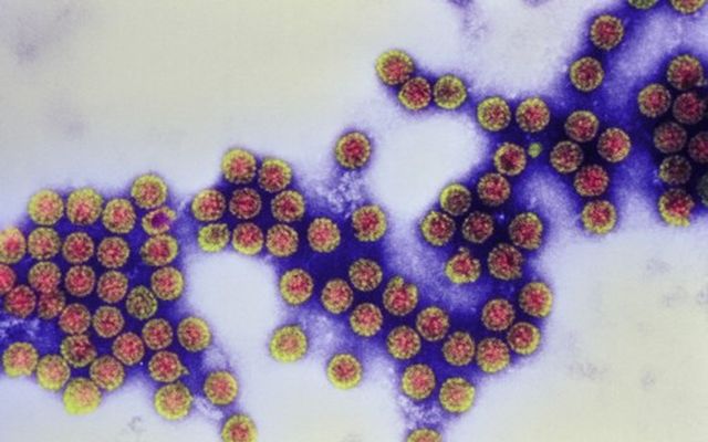 Polio wraca?