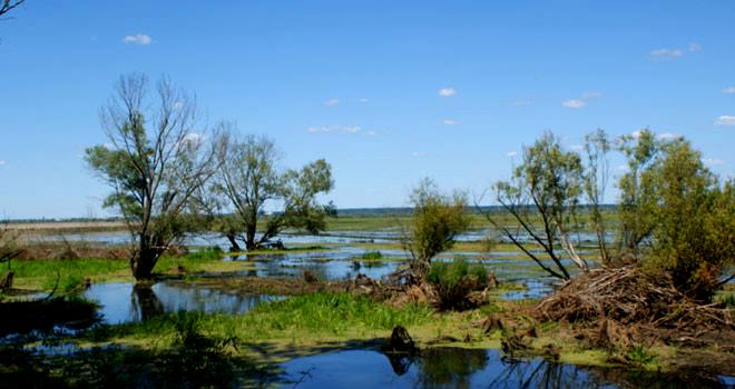 Polska Na Weekend - Ziemia Lubuska - WP Turystyka