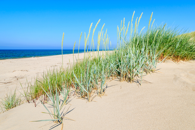 Polskie Plaże Dla Nudystów Rowy Wp Turystyka