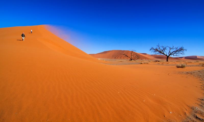 Pustynia Namib Namibia 10 miejsc w których poczujesz ogrom natury