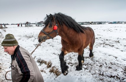 Nadchodzi okres rekordowych mrozów