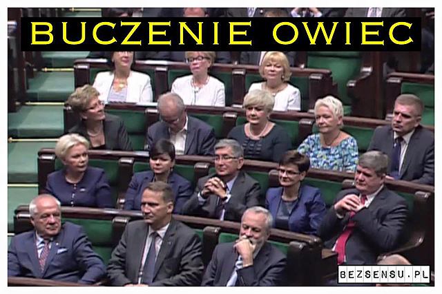 Obrazek