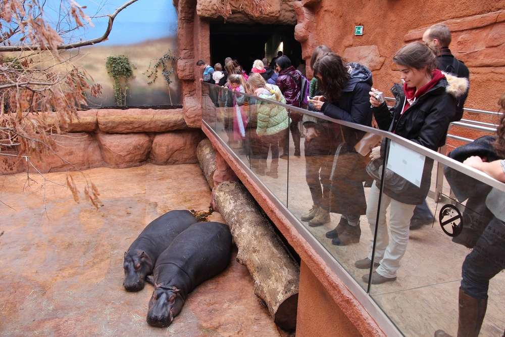 Atrakcje Wrocławia - najstarszy ogród zoologiczny w Polsce - WP Turystyka