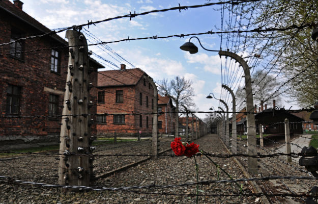 Zdaniem protestujących obozy koncentracyjne powstały na terenie Polski, ponieważ &quot;Polacy się na to godzili&quot;