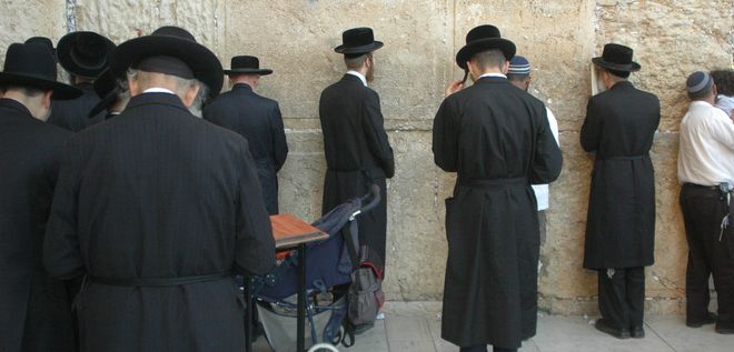 zydzi660..jpg