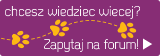 Zapytaj na forum