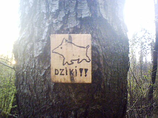 Obrazek dodany przez użytkowniczkę
