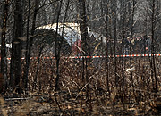 https://i.wp.pl/a/f/jpeg/24325/wrak_samolot_smolensk_pap_180.jpeg