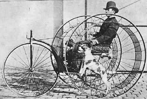 https://i.wp.pl/a/f/jpeg/24617/dog_powered.jpeg