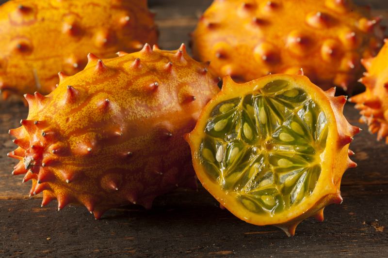 Igelfrucht Igelfrucht